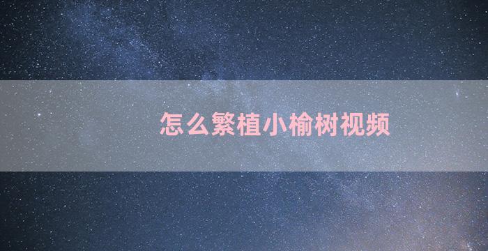 怎么繁植小榆树视频