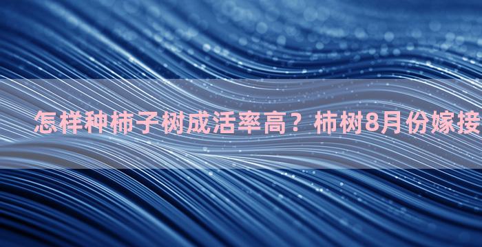 怎样种柿子树成活率高？柿树8月份嫁接用什么方法