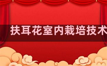 扶耳花室内栽培技术要点