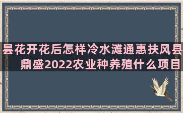 昙花开花后怎样冷水滩通惠扶风县鼎盛2022农业种养殖什么项目好(怎样让昙花开花)