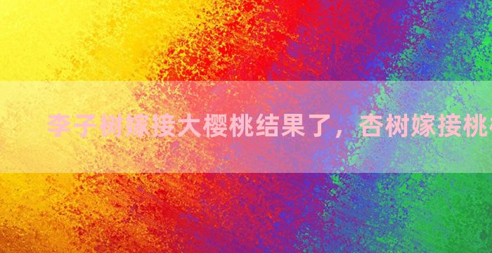 李子树嫁接大樱桃结果了，杏树嫁接桃树优缺点