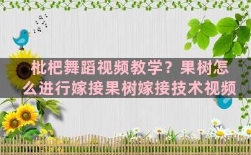 枇杷舞蹈视频教学？果树怎么进行嫁接果树嫁接技术视频