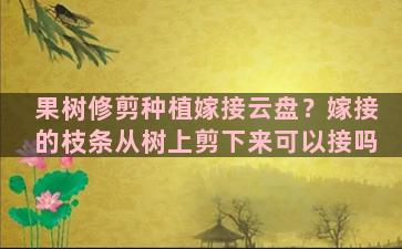 果树修剪种植嫁接云盘？嫁接的枝条从树上剪下来可以接吗