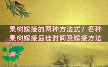 果树嫁接的两种方法式？各种果树嫁接最佳时间及嫁接方法