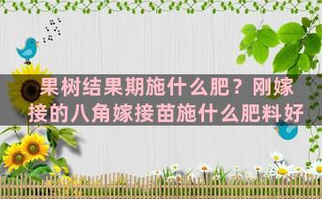 果树结果期施什么肥？刚嫁接的八角嫁接苗施什么肥料好