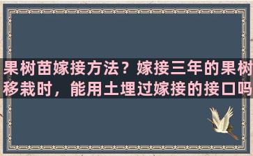 果树苗嫁接方法？嫁接三年的果树移栽时，能用土埋过嫁接的接口吗坑比嫁接口深