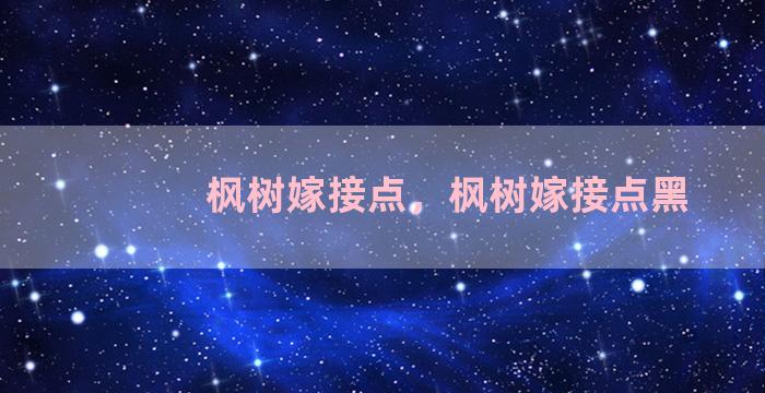 枫树嫁接点，枫树嫁接点黑