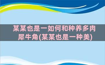 某某也是一如何和种养多肉犀牛角(某某也是一种美)