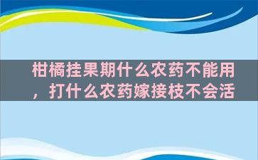 柑橘挂果期什么农药不能用，打什么农药嫁接枝不会活