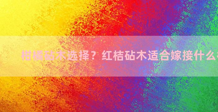 柑橘砧木选择？红桔砧木适合嫁接什么柑橘最好