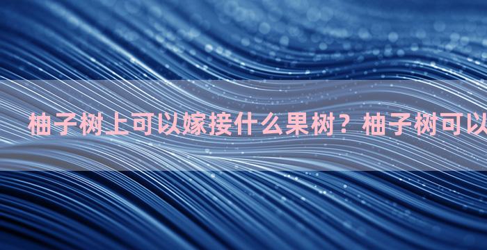 柚子树上可以嫁接什么果树？柚子树可以嫁接椪柑吗