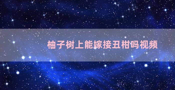 柚子树上能嫁接丑柑吗视频