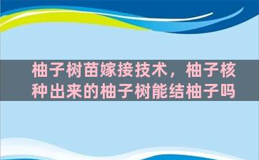 柚子树苗嫁接技术，柚子核种出来的柚子树能结柚子吗