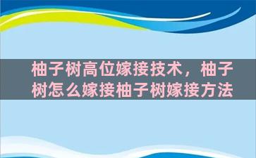 柚子树高位嫁接技术，柚子树怎么嫁接柚子树嫁接方法