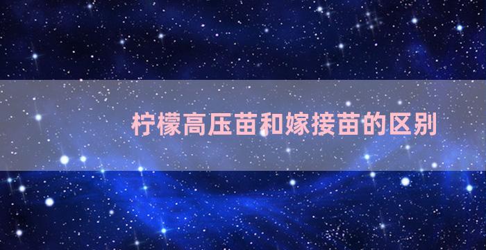 柠檬高压苗和嫁接苗的区别