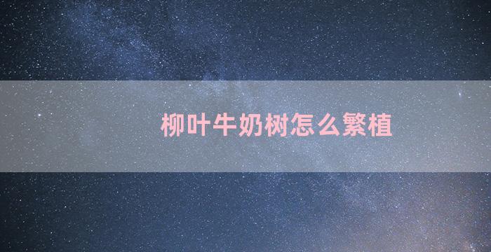 柳叶牛奶树怎么繁植