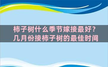 柿子树什么季节嫁接最好？几月份接柿子树的最佳时间