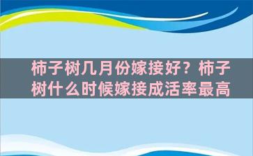 柿子树几月份嫁接好？柿子树什么时候嫁接成活率最高