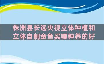 株洲县长远央视立体种植和立体自制金鱼买哪种养的好