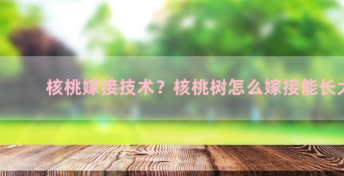 核桃嫁接技术？核桃树怎么嫁接能长大核桃