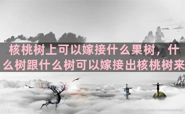 核桃树上可以嫁接什么果树，什么树跟什么树可以嫁接出核桃树来