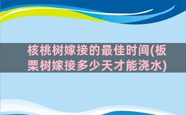 核桃树嫁接的最佳时间(板栗树嫁接多少天才能浇水)