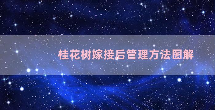 桂花树嫁接后管理方法图解