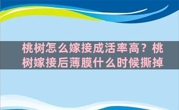 桃树怎么嫁接成活率高？桃树嫁接后薄膜什么时候撕掉