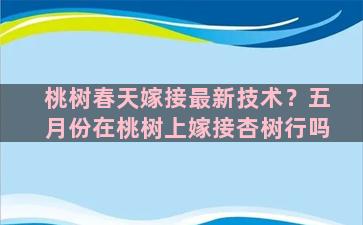 桃树春天嫁接最新技术？五月份在桃树上嫁接杏树行吗