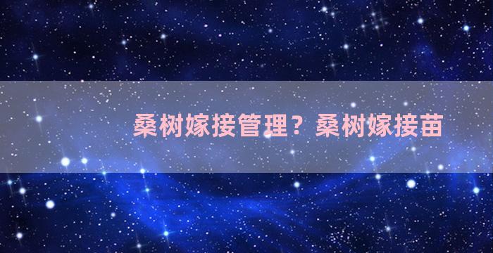 桑树嫁接管理？桑树嫁接苗