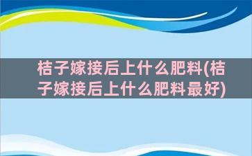 桔子嫁接后上什么肥料(桔子嫁接后上什么肥料最好)