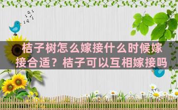 桔子树怎么嫁接什么时候嫁接合适？桔子可以互相嫁接吗