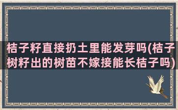 桔子籽直接扔土里能发芽吗(桔子树籽出的树苗不嫁接能长桔子吗)