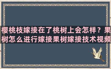 樱桃枝嫁接在了桃树上会怎样？果树怎么进行嫁接果树嫁接技术视频,嫁接方法图解