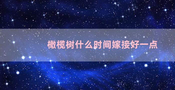 橄榄树什么时间嫁接好一点