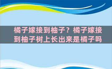 橘子嫁接到柚子？橘子嫁接到柚子树上长出来是橘子吗