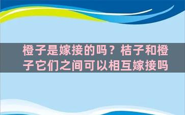 橙子是嫁接的吗？桔子和橙子它们之间可以相互嫁接吗