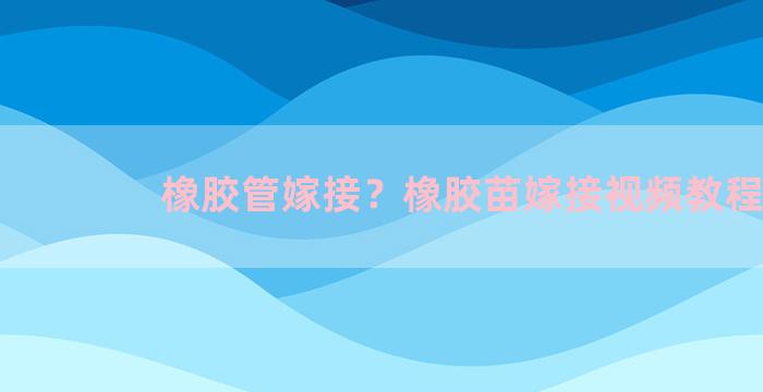 橡胶管嫁接？橡胶苗嫁接视频教程