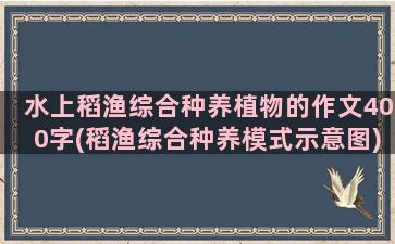 水上稻渔综合种养植物的作文400字(稻渔综合种养模式示意图)