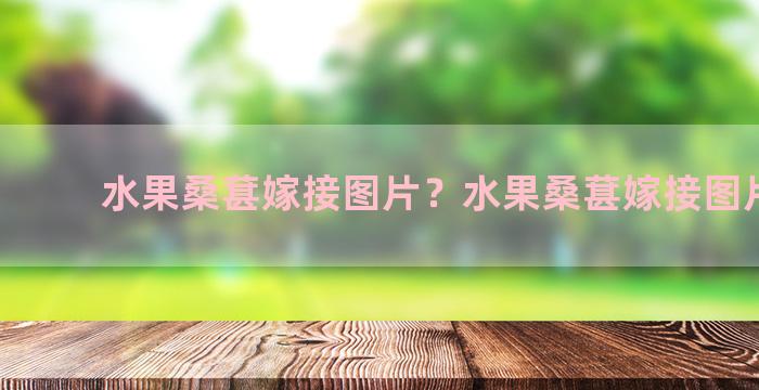 水果桑葚嫁接图片？水果桑葚嫁接图片欣赏