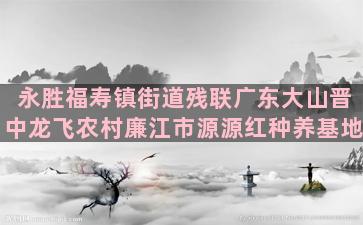 永胜福寿镇街道残联广东大山晋中龙飞农村廉江市源源红种养基地