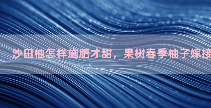 沙田柚怎样施肥才甜，果树春季柚子嫁接时间与温度