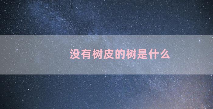 没有树皮的树是什么