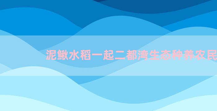 泥鳅水稻一起二都湾生态种养农民