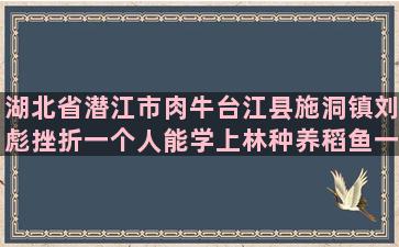 湖北省潜江市肉牛台江县施洞镇刘彪挫折一个人能学上林种养稻鱼一年三季