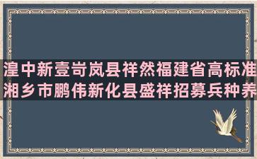 湟中新壹岢岚县祥然福建省高标准湘乡市鹏伟新化县盛祥招募兵种养成类异界小说