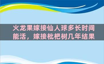 火龙果嫁接仙人球多长时间能活，嫁接枇杷树几年结果