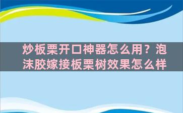 炒板栗开口神器怎么用？泡沫胶嫁接板栗树效果怎么样