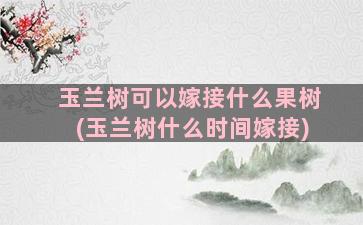 玉兰树可以嫁接什么果树(玉兰树什么时间嫁接)