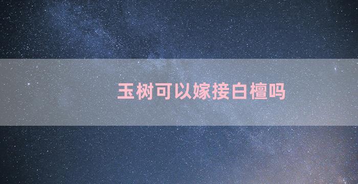 玉树可以嫁接白檀吗